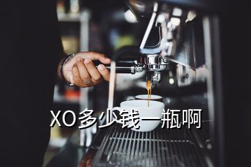 XO多少钱一瓶啊