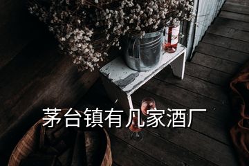 茅台镇有几家酒厂