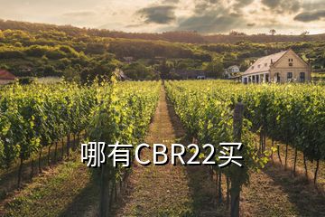 哪有CBR22买