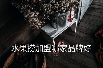 水果捞加盟哪家品牌好