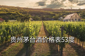 贵州茅台酒价格表53度
