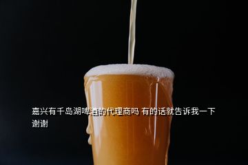 嘉兴有千岛湖啤酒的代理商吗 有的话就告诉我一下 谢谢