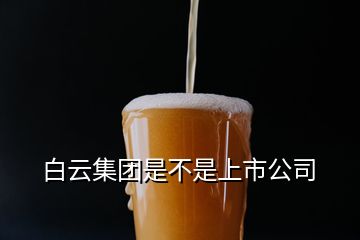 白云集团是不是上市公司