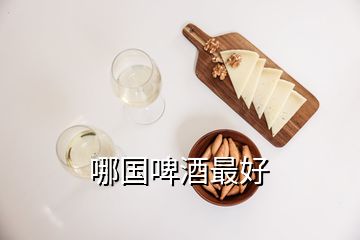 哪国啤酒最好