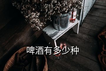 啤酒有多少种