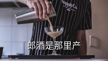 郎酒是那里产