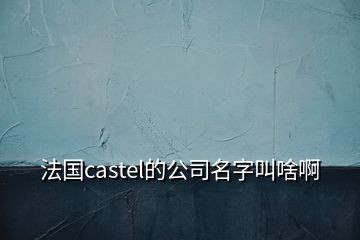 法国castel的公司名字叫啥啊