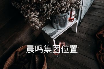 晨鸣集团位置