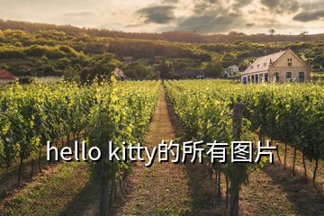 hello kitty的所有图片