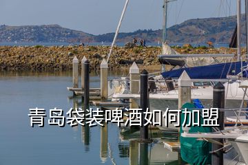 青岛袋装啤酒如何加盟