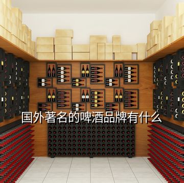 国外著名的啤酒品牌有什么