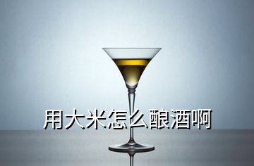 用大米怎么酿酒啊