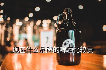 现在什么品牌的啤酒比较贵