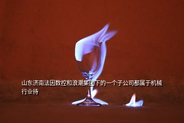 山东济南法因数控和浪潮集团下的一个子公司都属于机械行业待