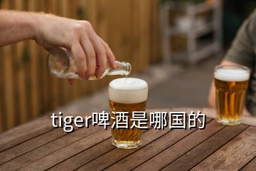 tiger啤酒是哪国的