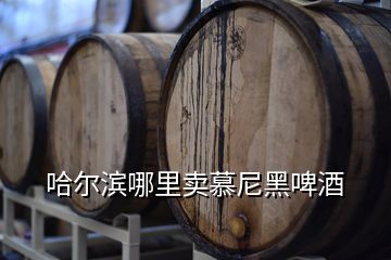 哈尔滨哪里卖慕尼黑啤酒