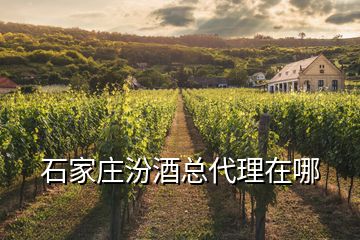 石家庄汾酒总代理在哪