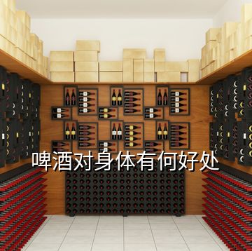啤酒对身体有何好处