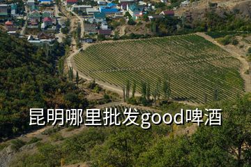 昆明哪里批发good啤酒