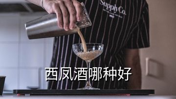 西凤酒哪种好