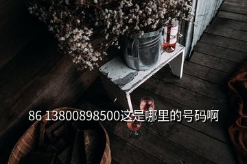 86 13800898500这是哪里的号码啊