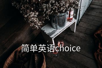 简单英语choice