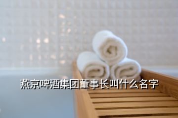 燕京啤酒集团董事长叫什么名字