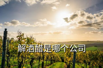 解酒醋是哪个公司