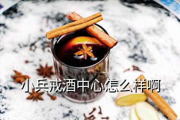 小兵戒酒中心怎么样啊