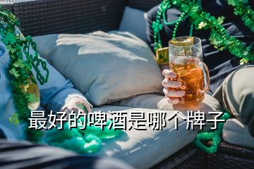 最好的啤酒是哪个牌子