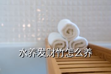 水养发财竹怎么养