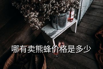 哪有卖熊蜂价格是多少