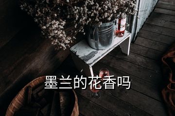 墨兰的花香吗