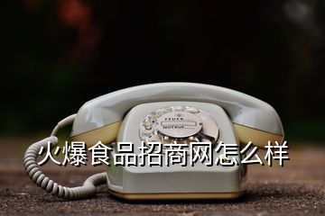 火爆食品招商网怎么样