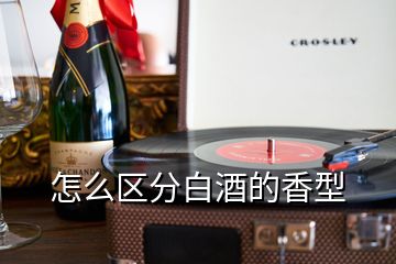 怎么区分白酒的香型