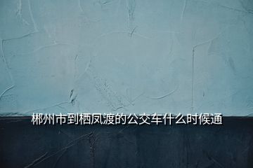 郴州市到栖凤渡的公交车什么时候通