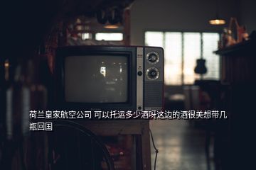 荷兰皇家航空公司 可以托运多少酒呀这边的酒很美想带几瓶回国