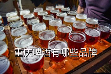 重庆啤酒有哪些品牌