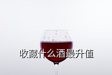 收藏什么酒最升值