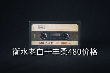 衡水老白干丰柔480价格