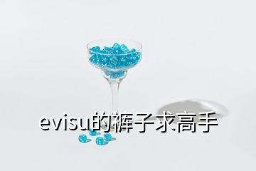 evisu的裤子求高手