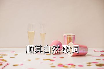 顺其自然 歌词