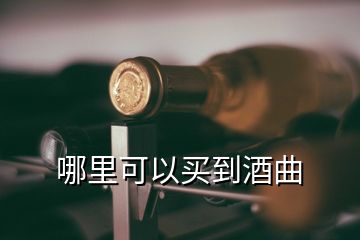 哪里可以买到酒曲