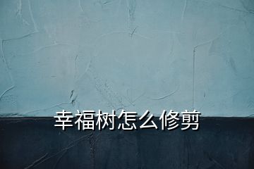 幸福树怎么修剪