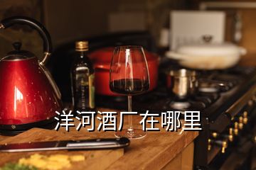 洋河酒厂在哪里