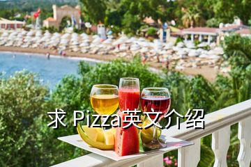 求 Pizza英文介绍