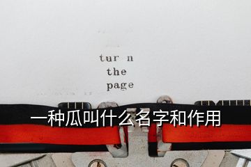 一种瓜叫什么名字和作用