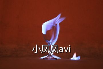 小凤凤avi