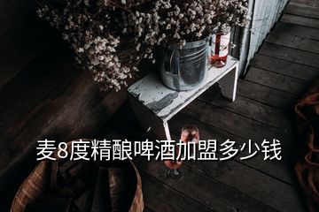 麦8度精酿啤酒加盟多少钱