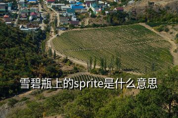 雪碧瓶上的sprite是什么意思